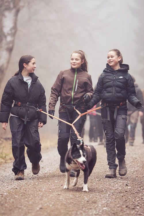 Drei Mädchen gehen mit einem Hund auf einem Waldweg spazieren.