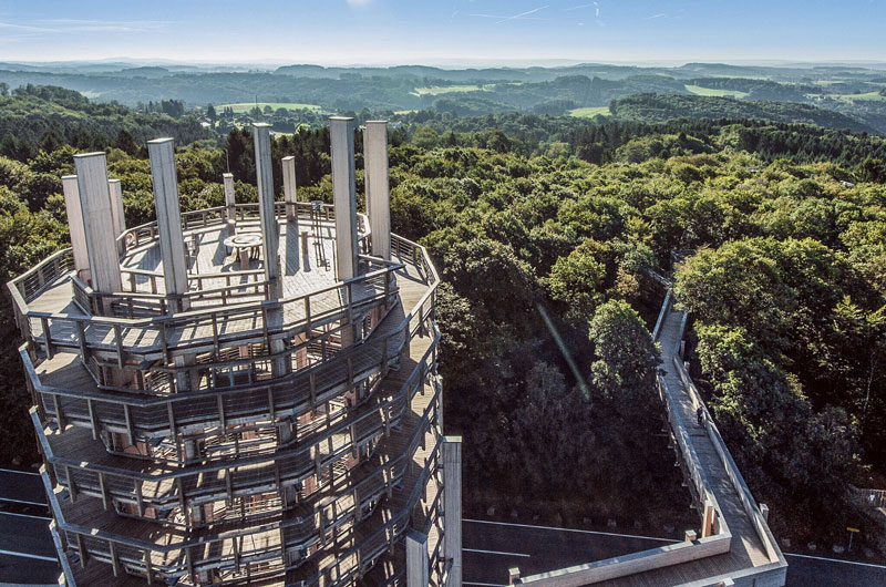 Der Baumwipfelpfad in Panabora ist für Schulklassen ein Abenteuer, weil man dort den Wald von einer ganz anderen Perspektive erleben kann.