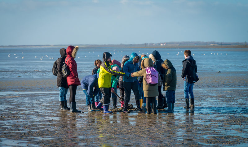 Eine Gruppe Kinder steht im Watt und untersucht den Meeresboden. So wird die Klassenreise zur Nordsee zum Erlebnis.