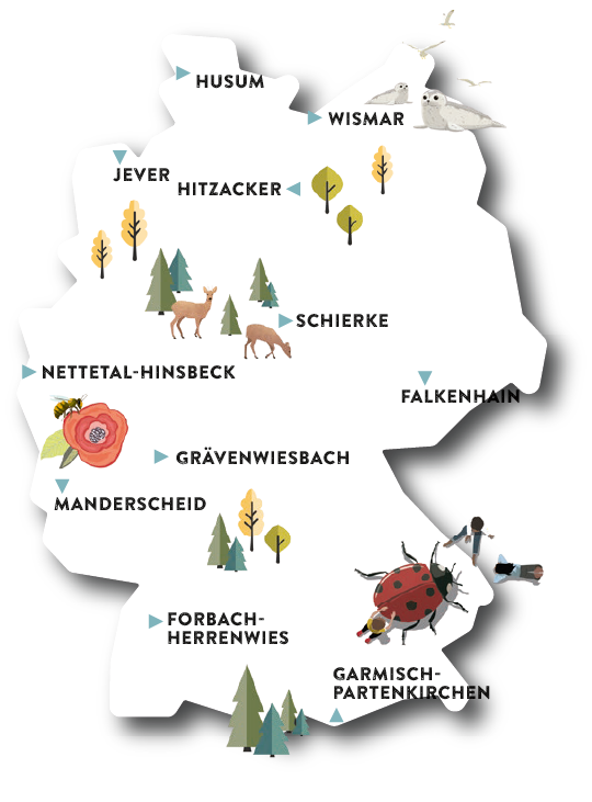 Entdeckendes Lernen: eine Karte mit Jugendherbergen, die das Lernen in der Natur ermöglichen.
