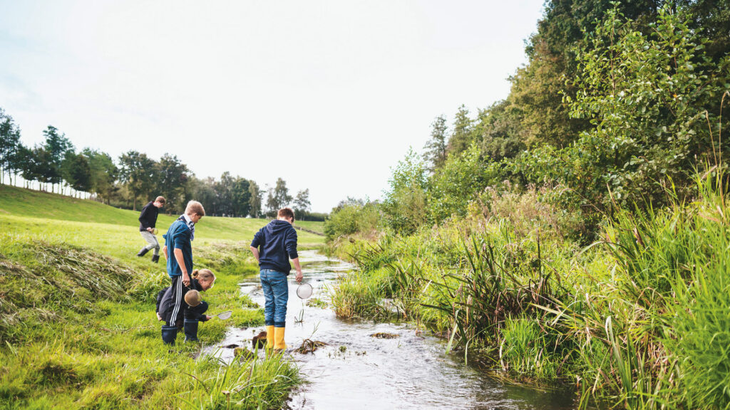 Mehrere Klimascouts untersuchen mit Keschern einen Bachlauf in einer grünen Wiesenlandschaft.