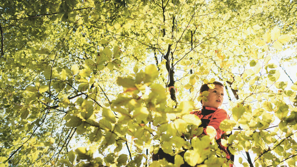 Ein Kind in roter Outdoorjacke steht zwischen dichtem, sonnenbeschienenem Laub im Wald und erkundet als Klimascout die Natur.